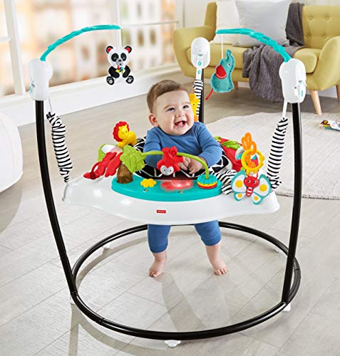 Fisher-Price Baby Bouncer Pink Petals two take-along toys included.