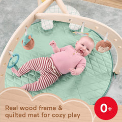 Fisher-Price hedgehog squeaker toy on deluxe activity gym