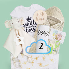 FLAIR GIFTS 8pc gender reveal gift set box, premium packaging for new parents