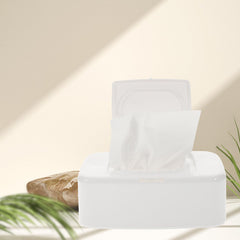 FONDOTIN travel case container keeps wipes organized during outdoor trips