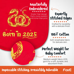 FoxE Born in 2026 plush horse toy with bright zodiac artwork.