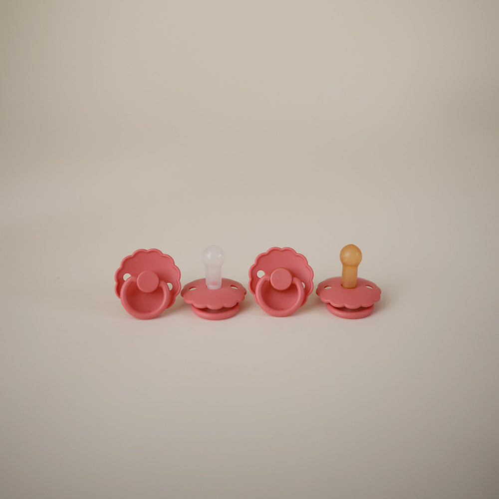 Frigg Daisy 2-pack packaging designed for easy storage