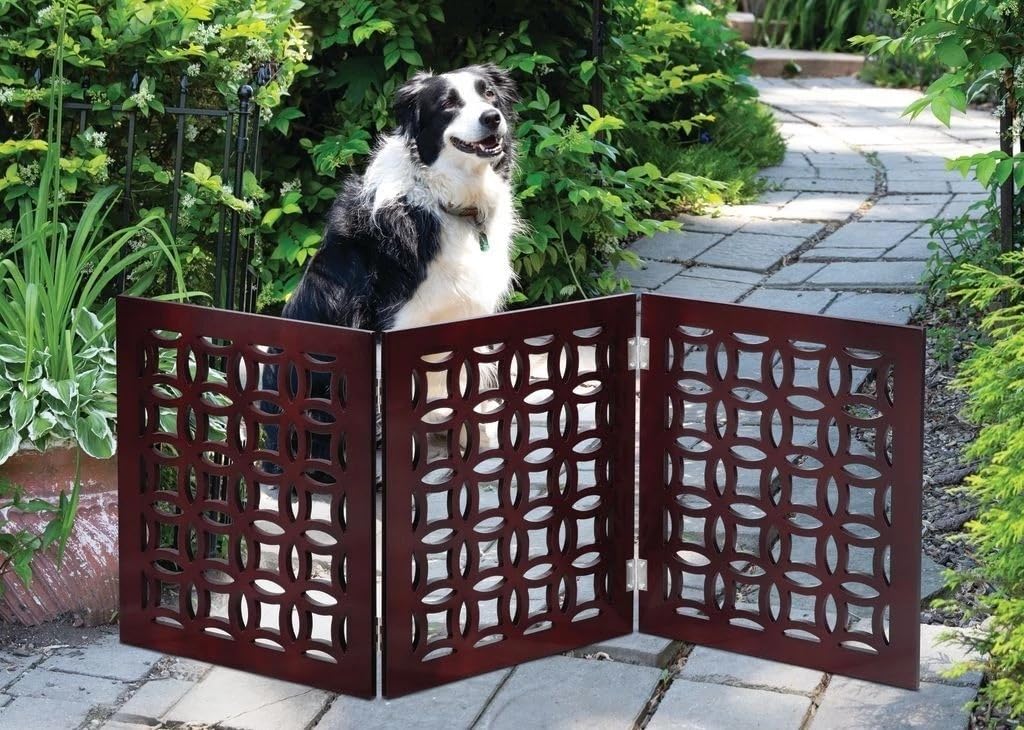 FRISKY FRIENDS Positano Mahogany doorways gate in living room blends décor.