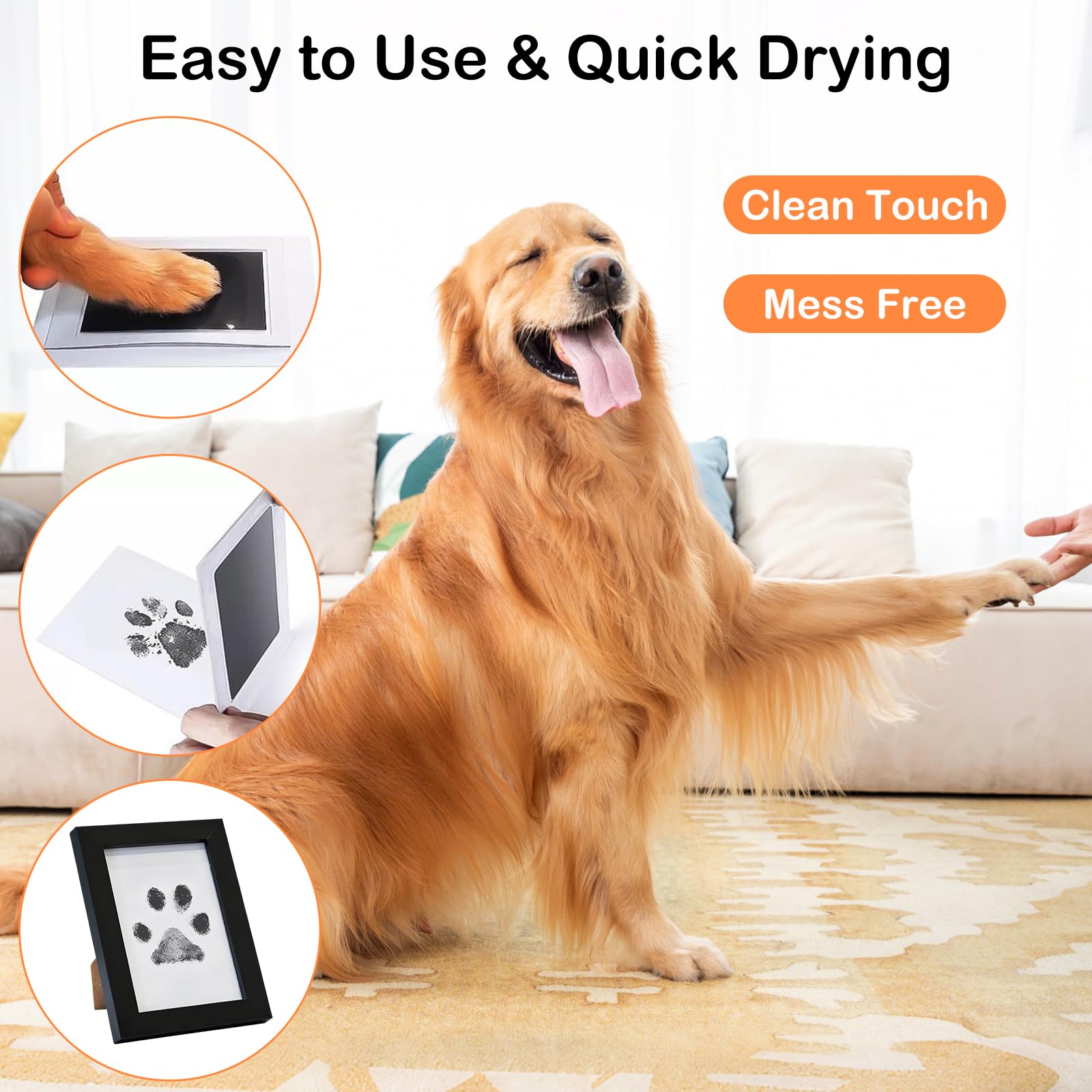 Frstem magnetic sheets for fridge display of pet memories.