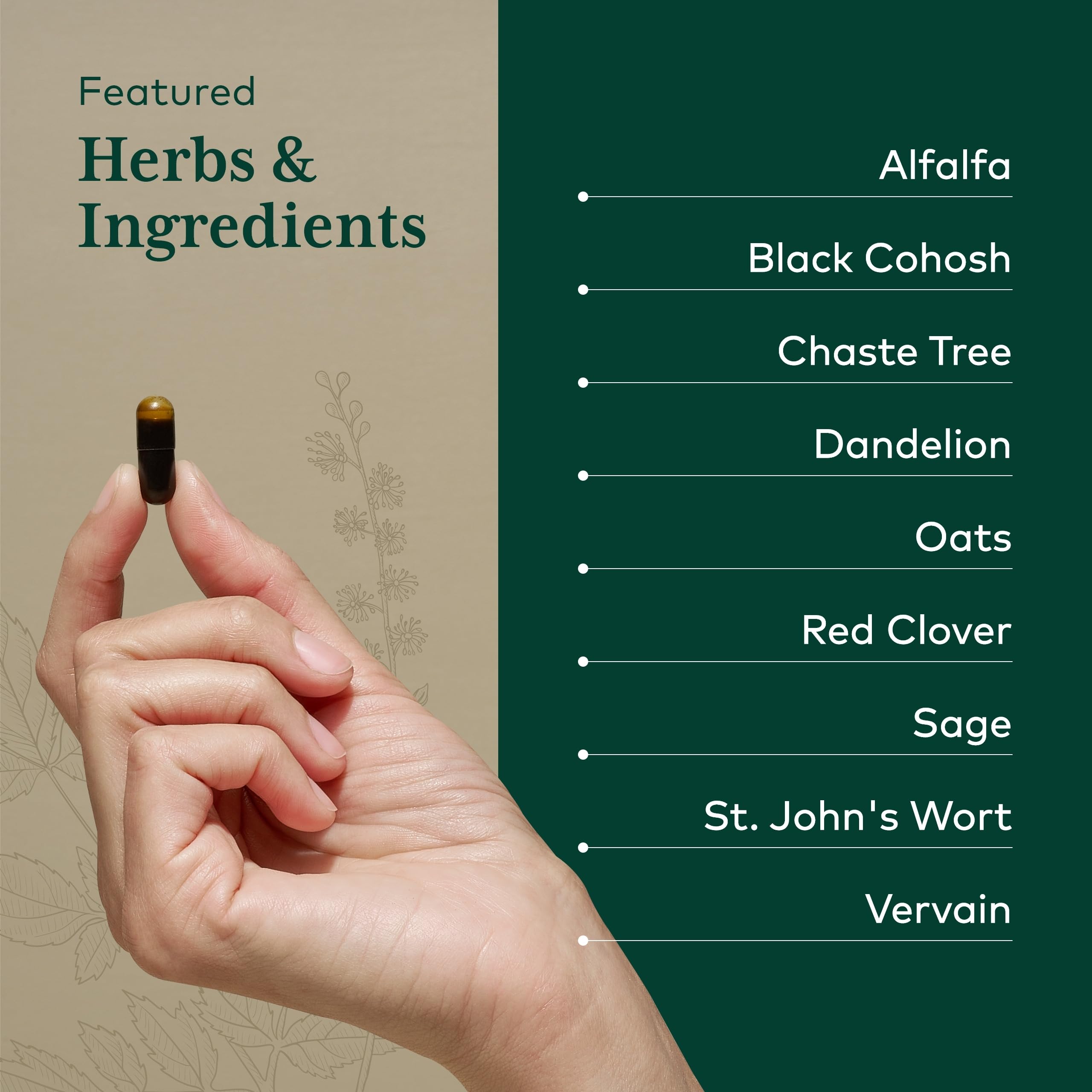 GAIA Herbs Pro black cohosh root, key herb in menopause-related comfort support.