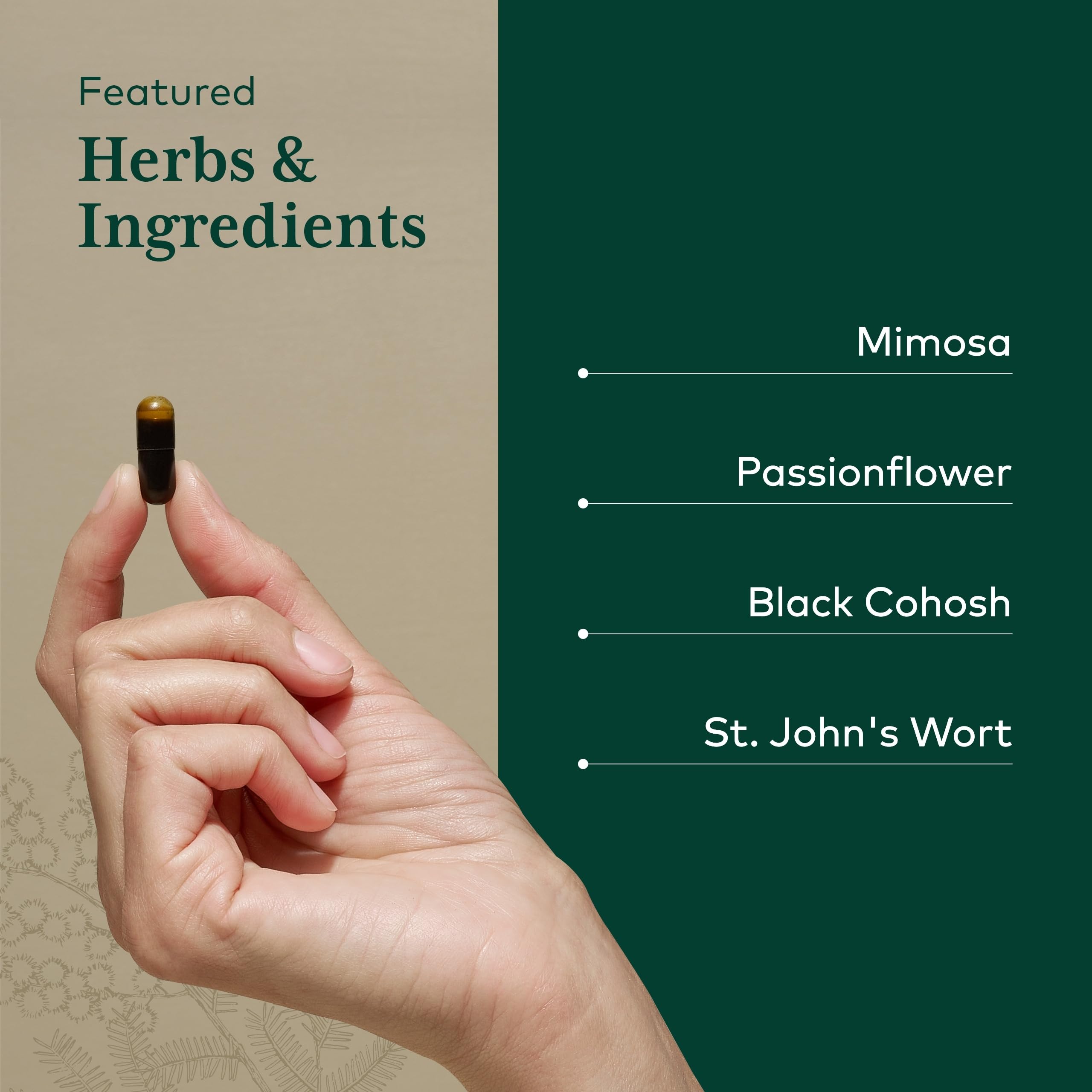 Gaia Herbs PRO St John's Wort composition image highlights mood-support potential