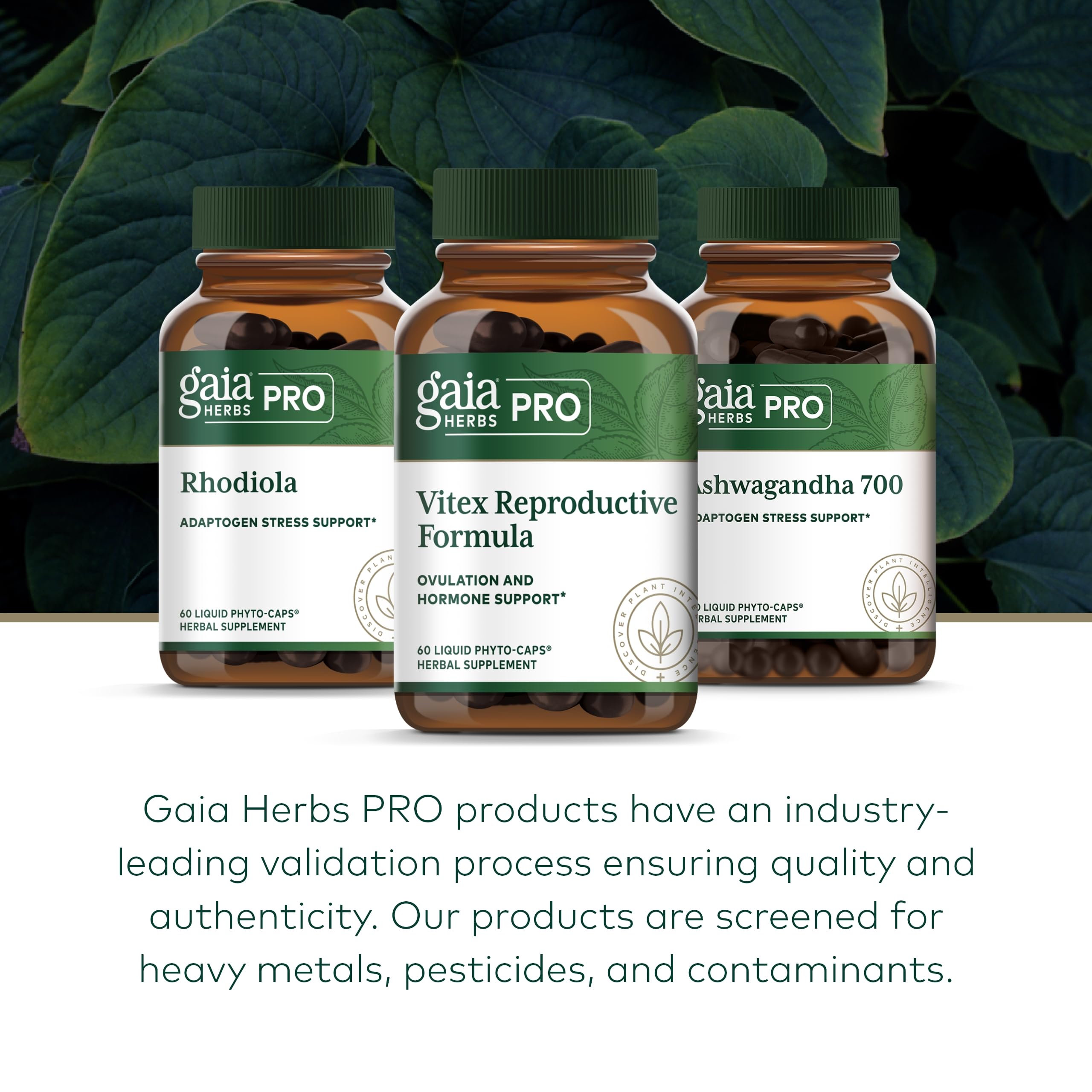 Gaia Herbs PRO Vitex chaste tree berry close-up for hormonal balance
