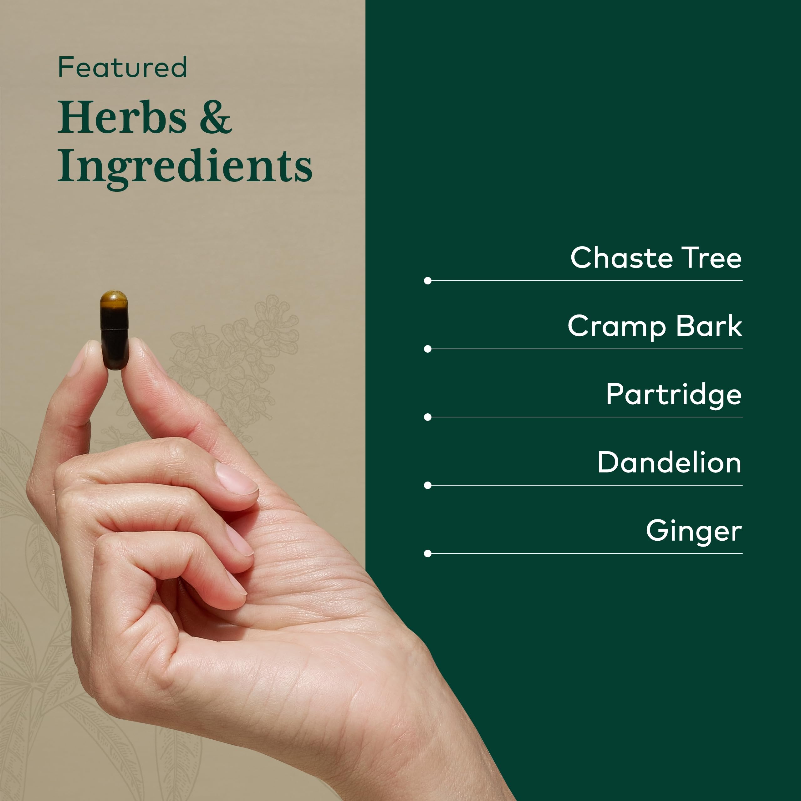 Gaia Herbs PRO Vitex with ginger root as premium ingredient