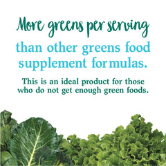 Garden of Life Perfect Food Original powder scoop being used for convenient nutrition.