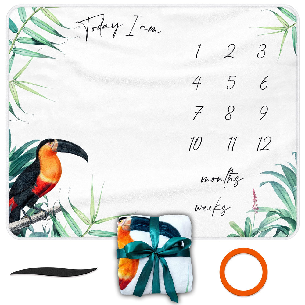 Generic bowknot wrap adds gift-ready presentation for photos and gifting