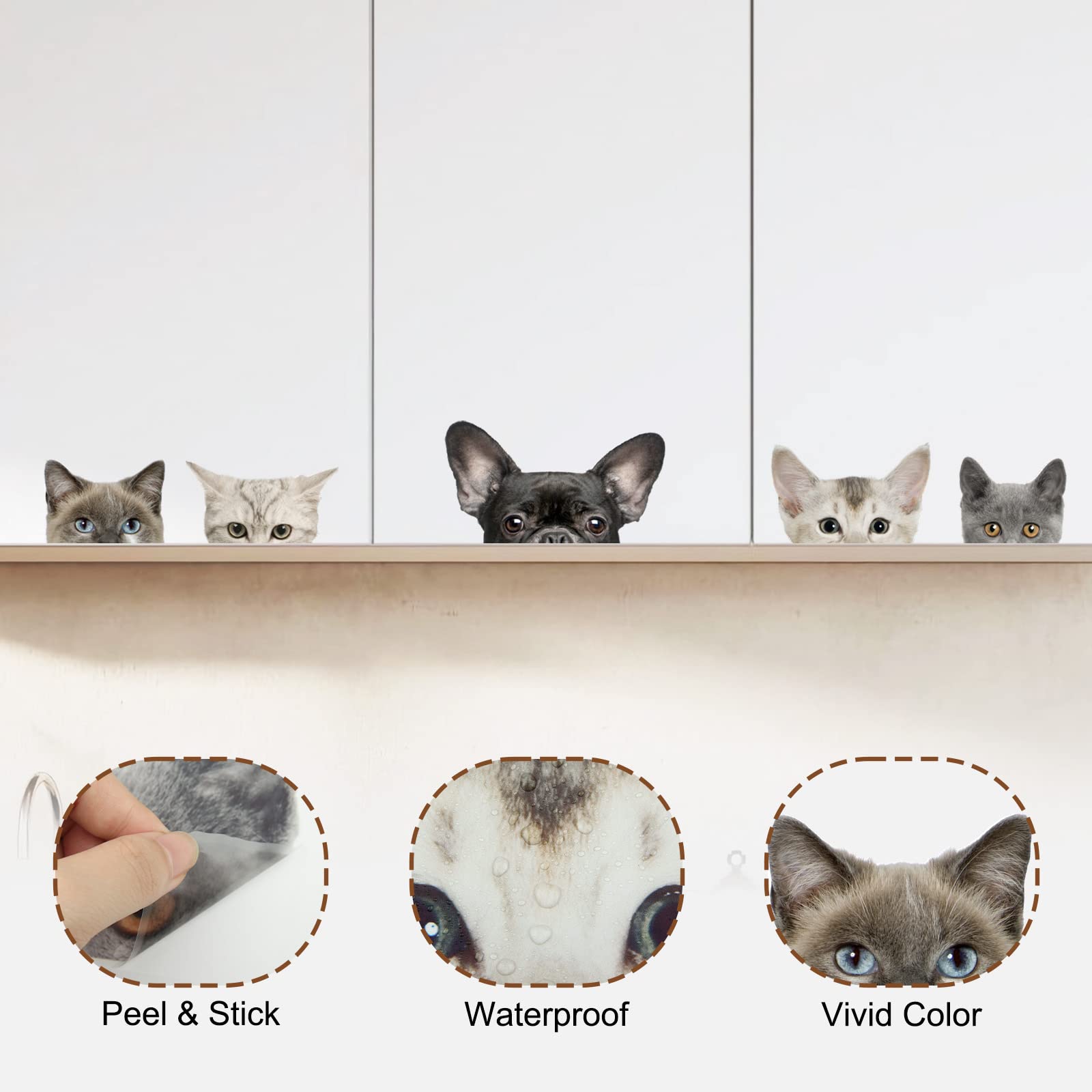 Generic cat head stickers close-up on a white wall show vivid color and removable design.