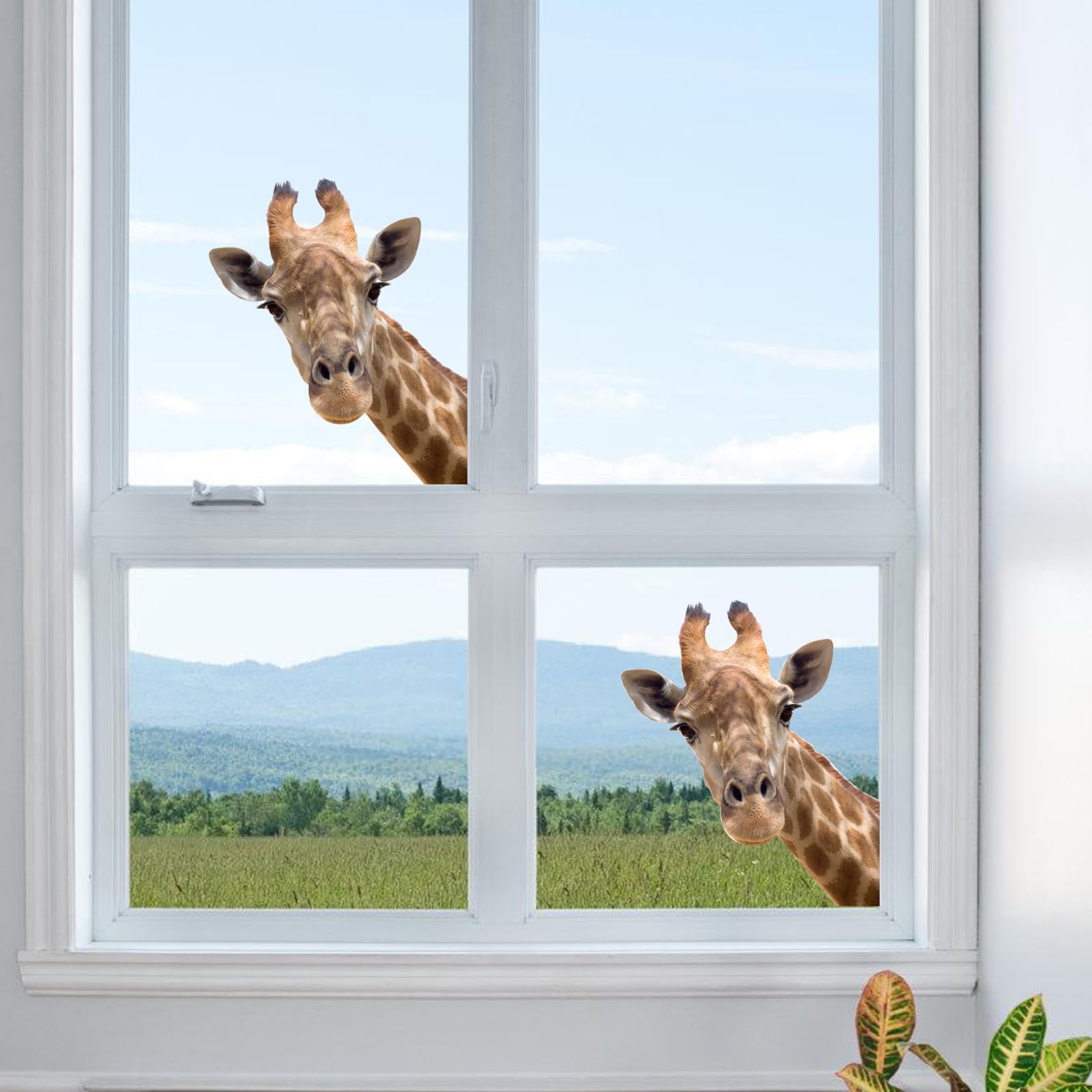 Generic Cute Giraffe Wall Decal in a nursery setting for color and whimsy
