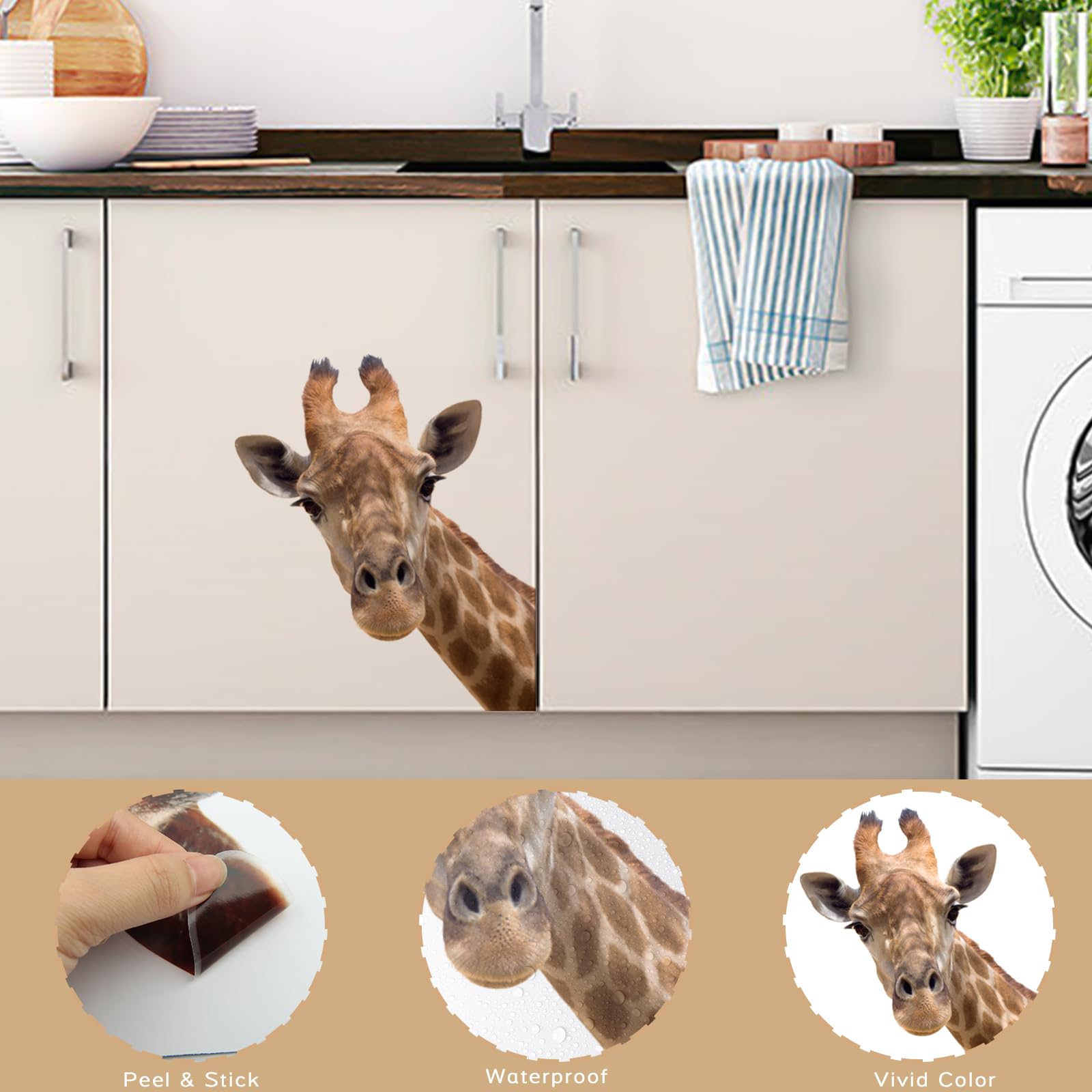 Generic wall sticker quick to install with peel-and-stick adhesion