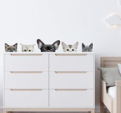 Generic funny cats wall decals sheet shown for playful decor in a kids room.