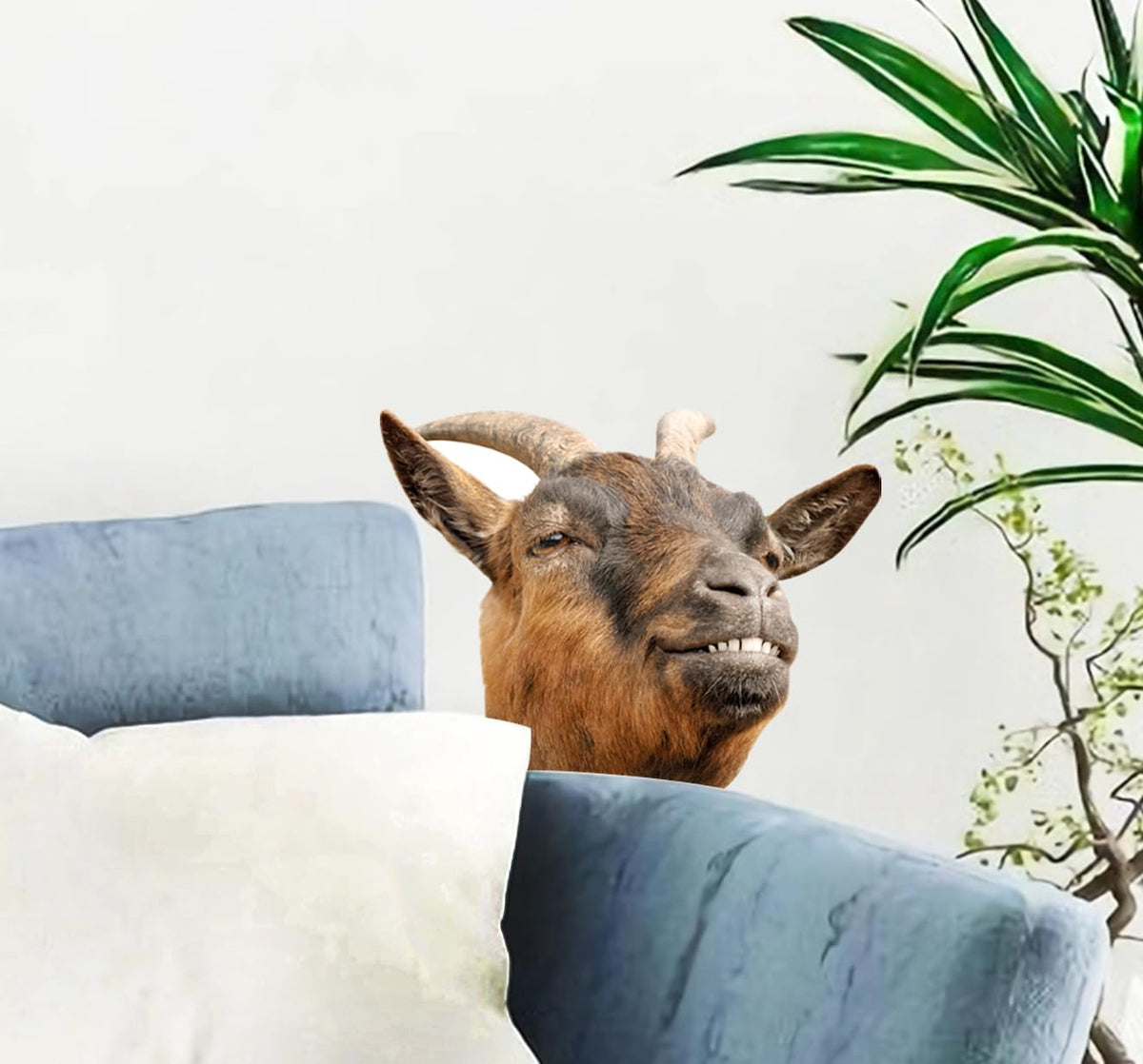 Generic Goat wall decal on a white wall; quick, residue-free decorating.