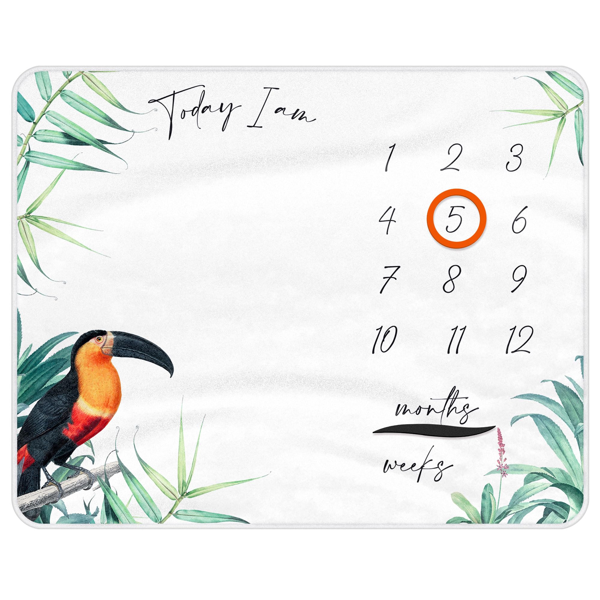 Generic newborn photo prop with tropical toucan design for timeless keepsakes
