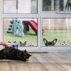 Generic playroom decor with cat stickers brightening a family space and stimulating creativity.