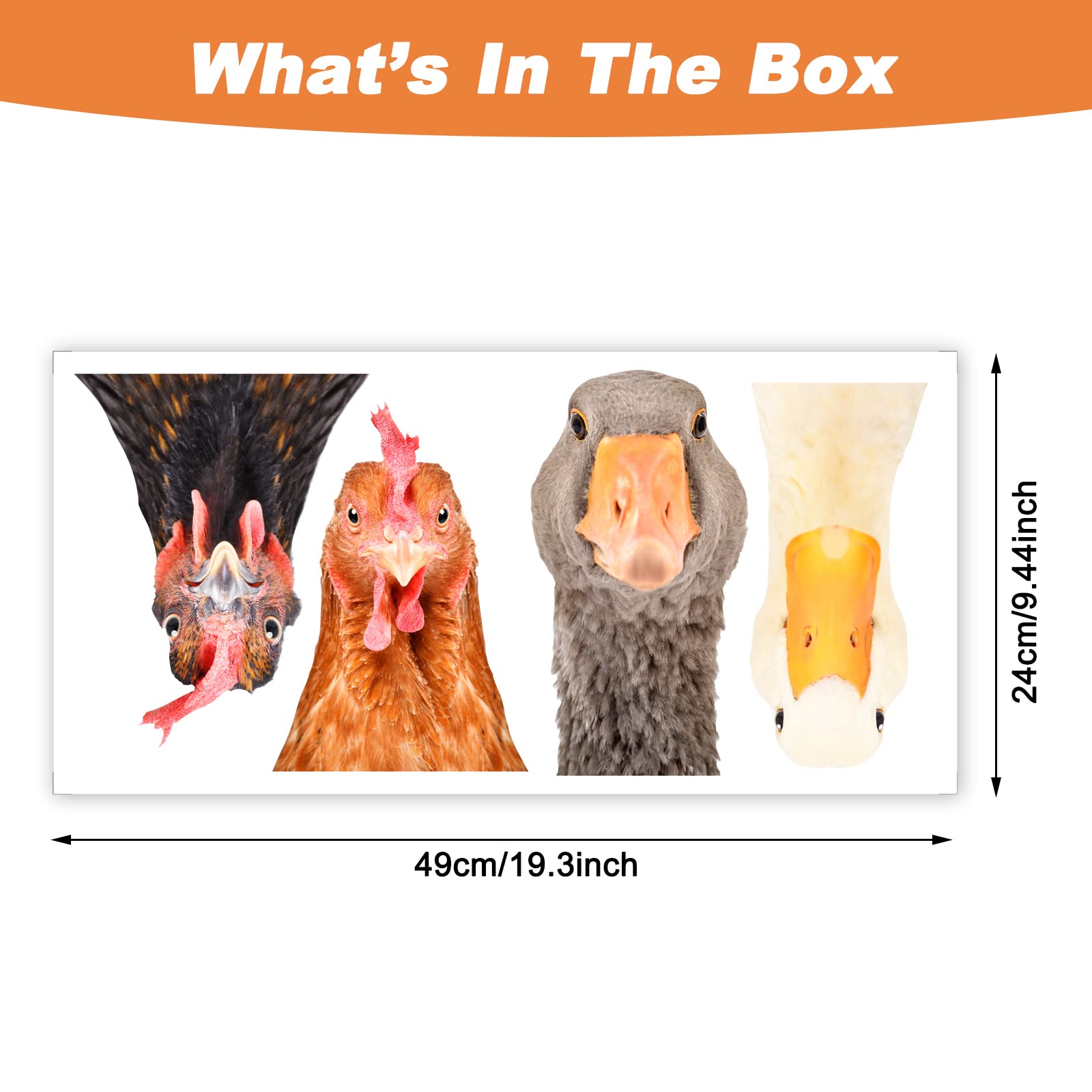Generic vinyl sticker chicken-duck kitchen decor brightens spaces without residue.