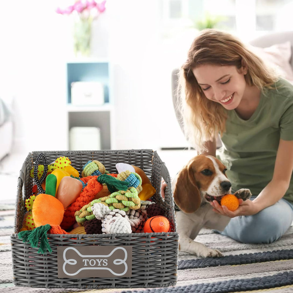 Geyecete dog toy storage in living room blends with decor and reduces clutter.