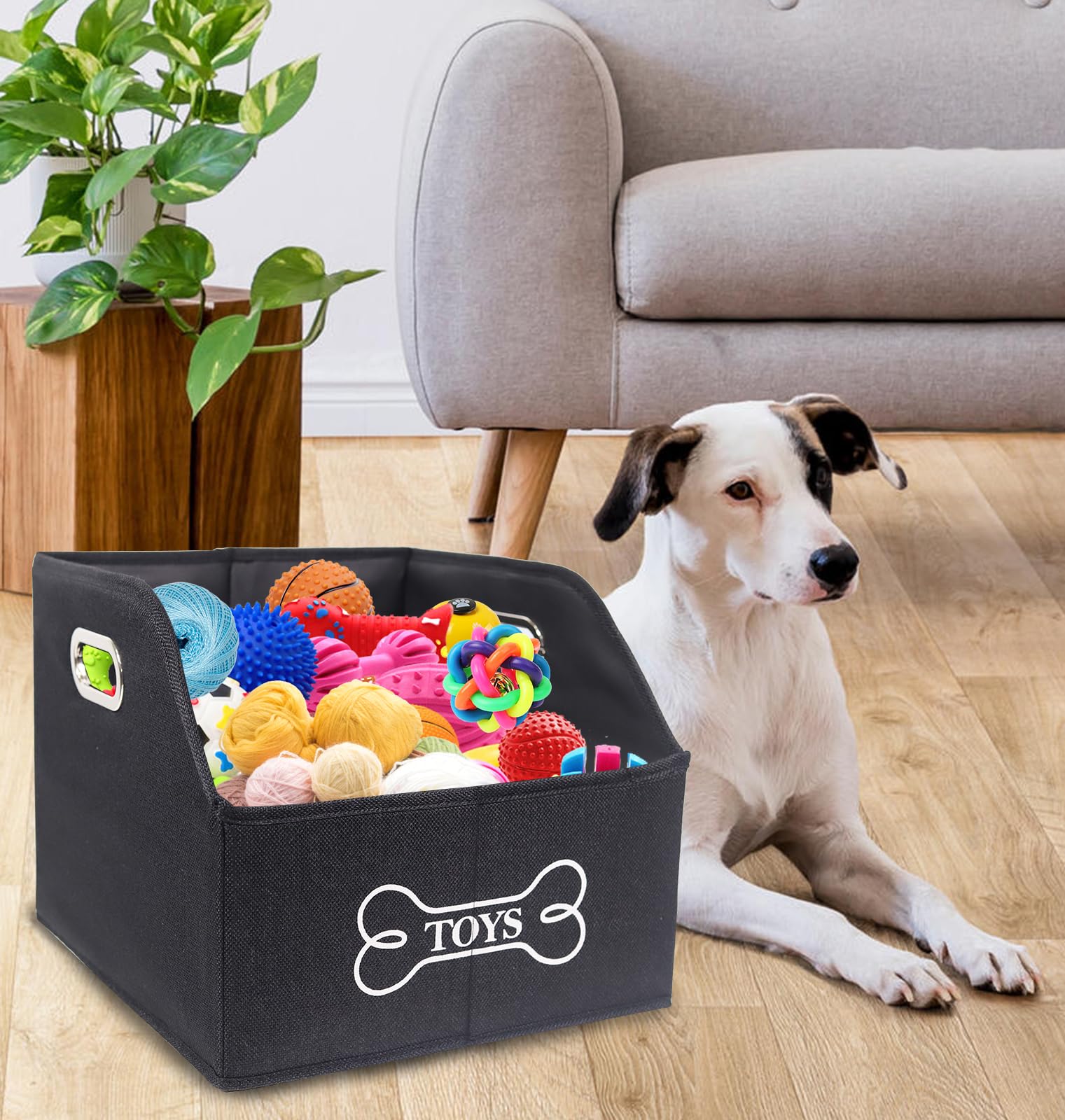 Geyecete pet toy storage bin keeps toys neatly accessible.