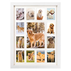 GMFrames wallet photos hold twelve 2.5x3.5 prints in a single frame