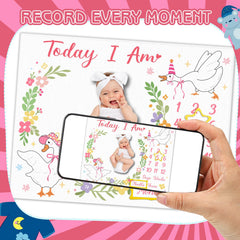 Guiqulai Silly Goose felt frames arranged for milestone storytelling and decor