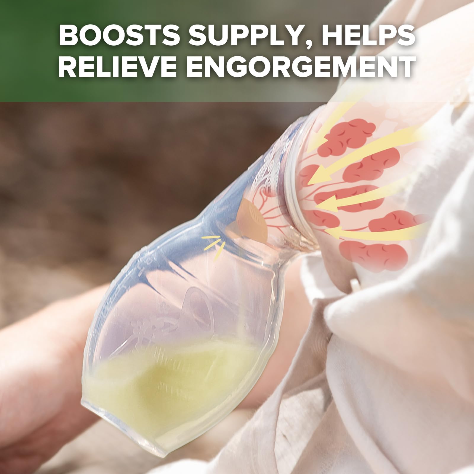Haakaa adjustable suction breast pump, comfortable let-down potential.
