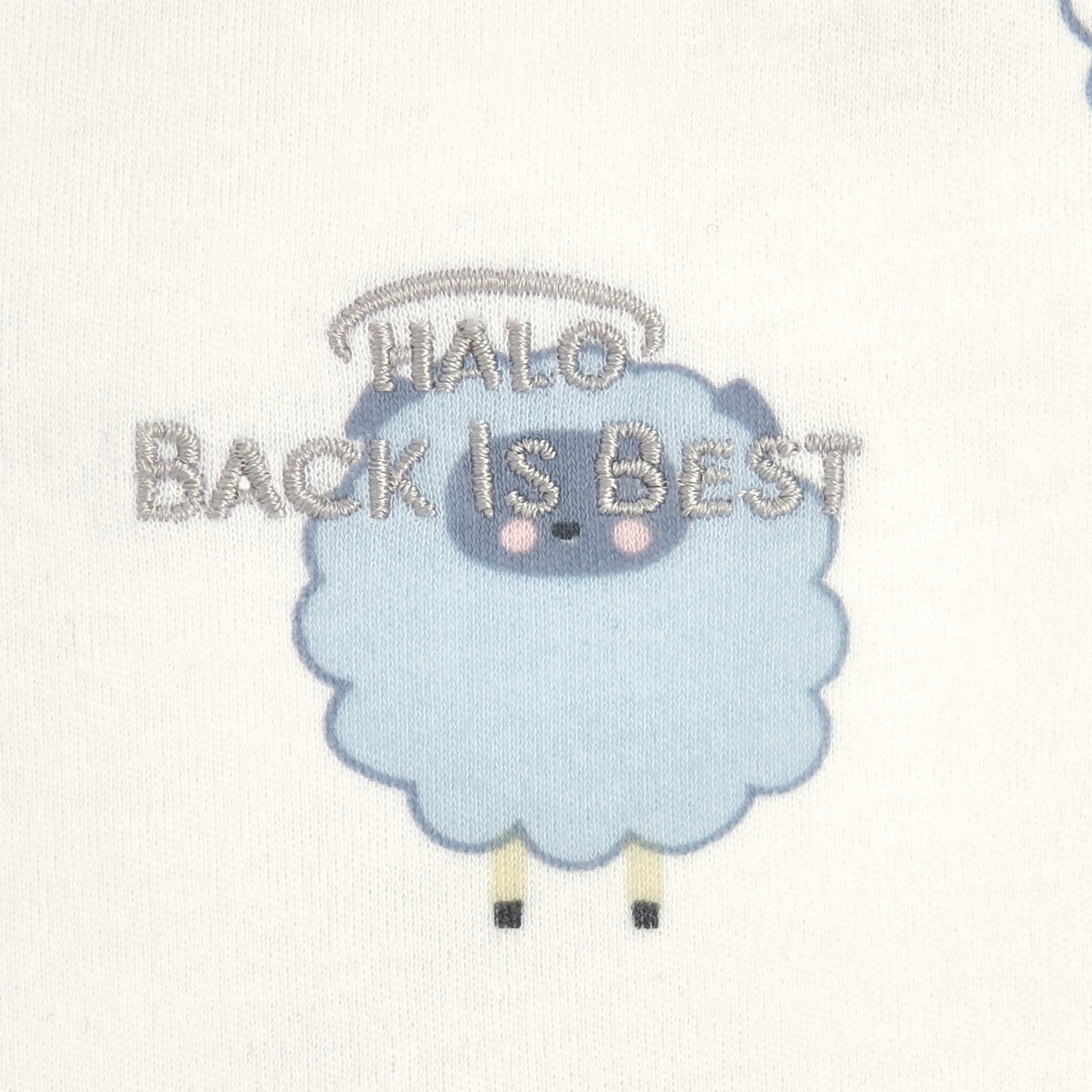 HALO SleepSack roomy sack fits 12-18 month babies