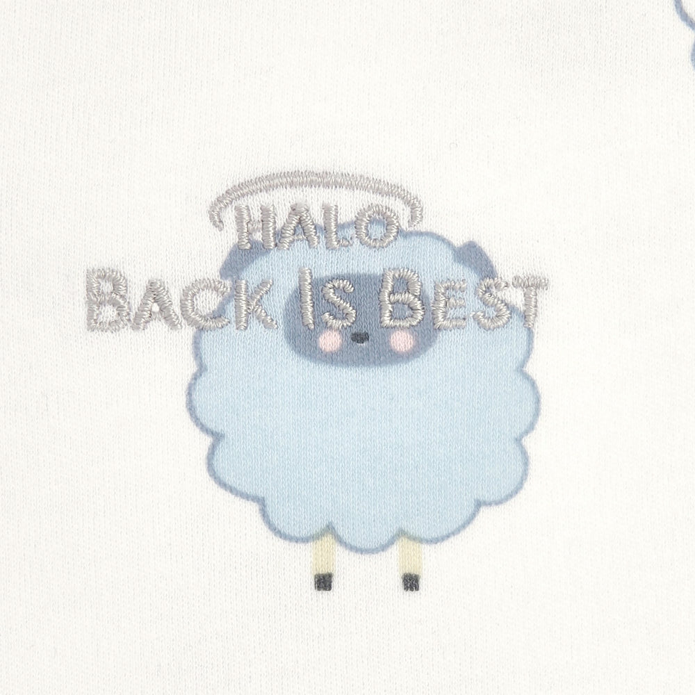 HALO SleepSack roomy sack fits 12-18 month babies