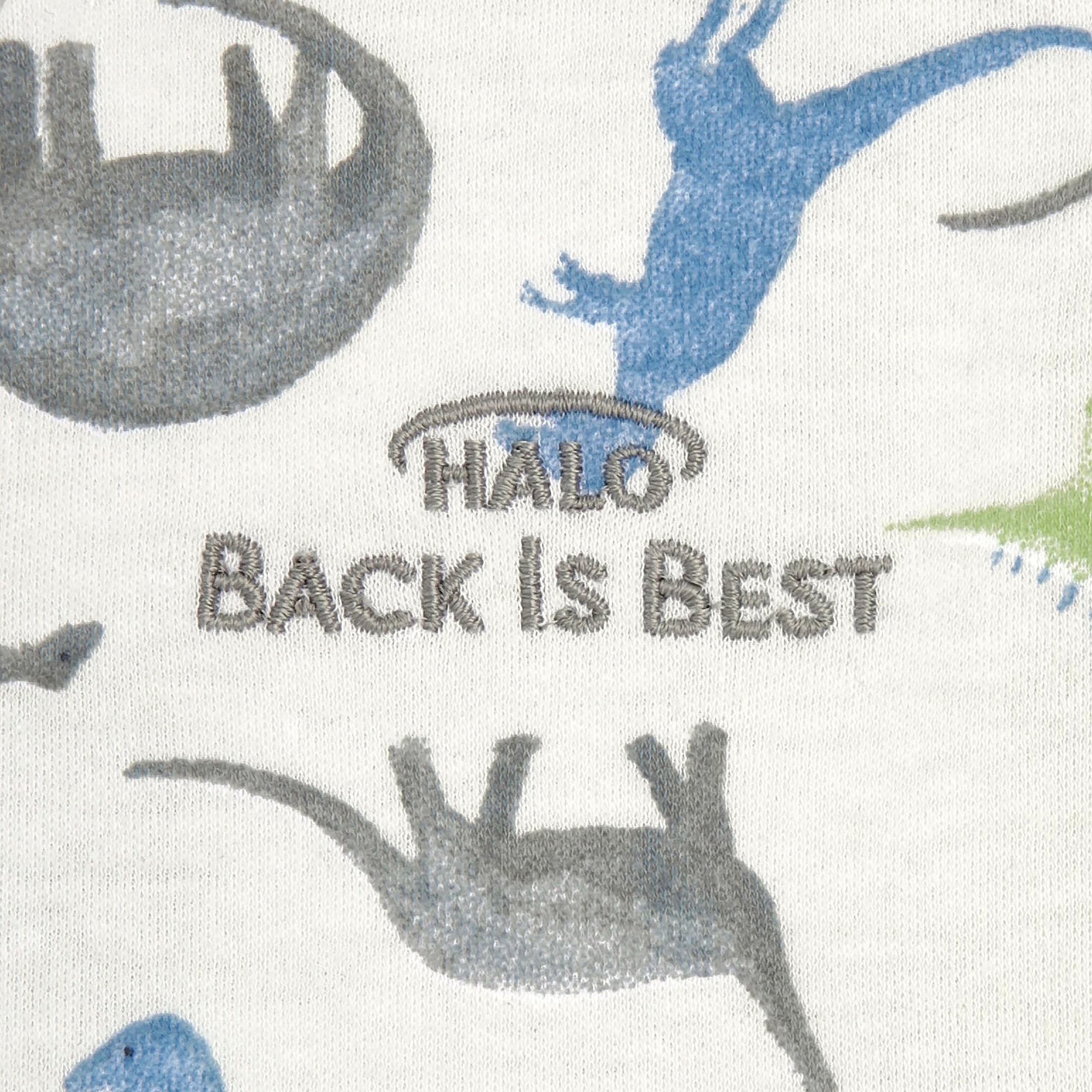 HALO SleepSack Watercolor Dinos large size on toddler for secure sleep