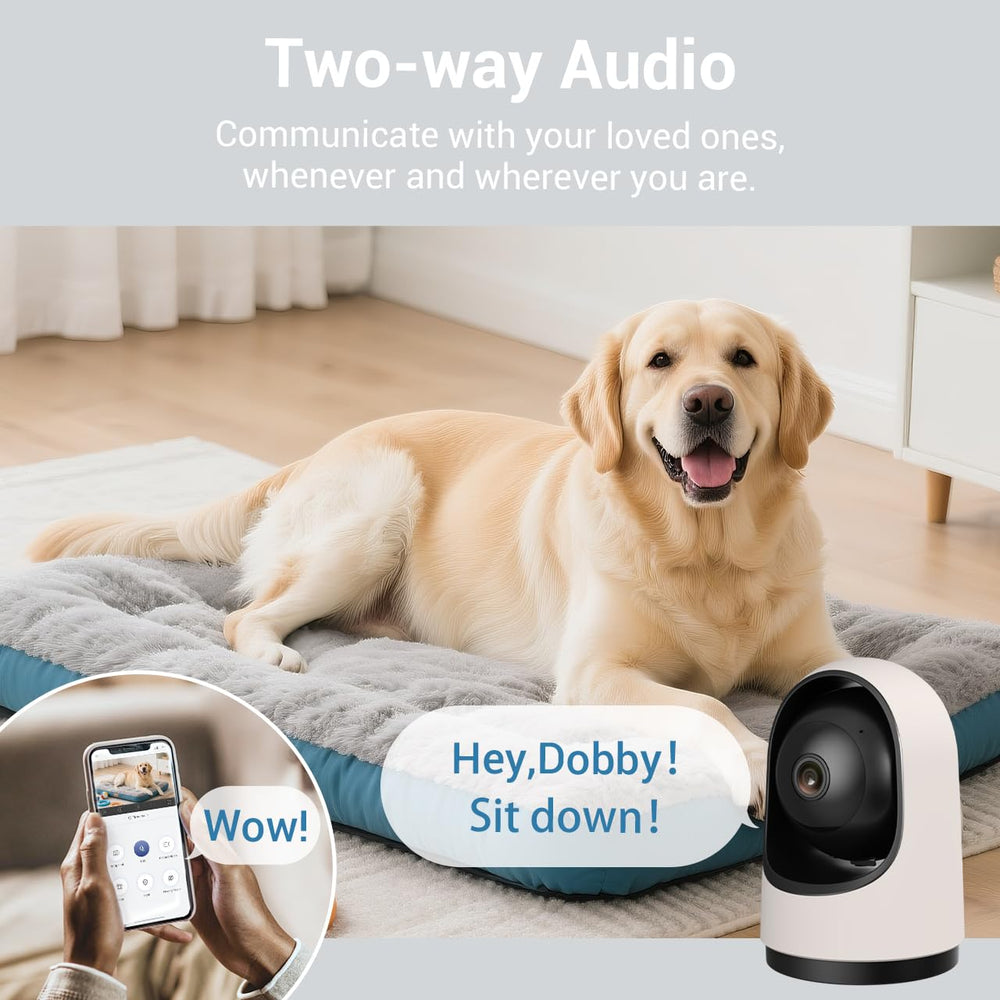 Haloak real-time monitoring via app from anywhere.