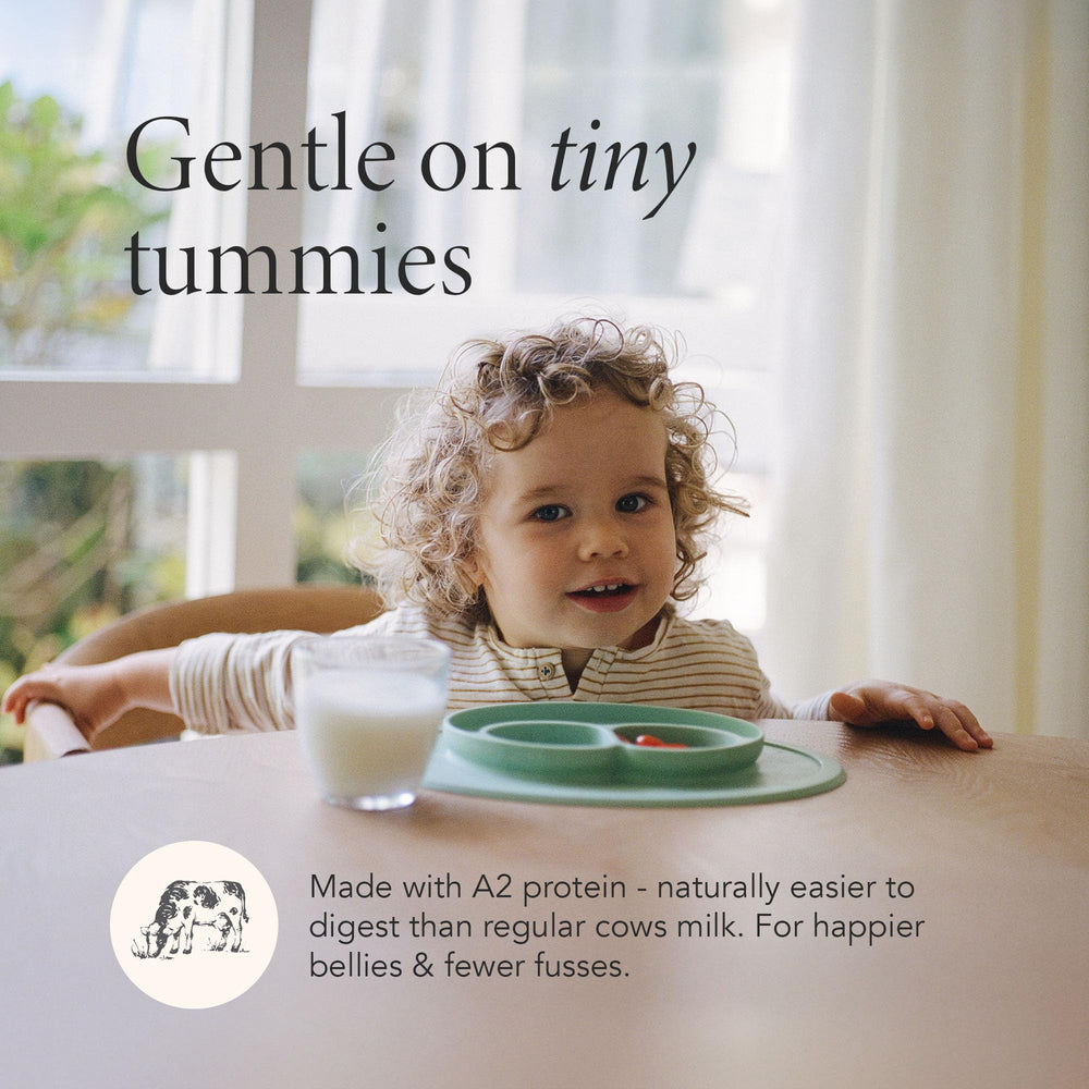 Toddler enjoys Haven A2 formula from a bottle.