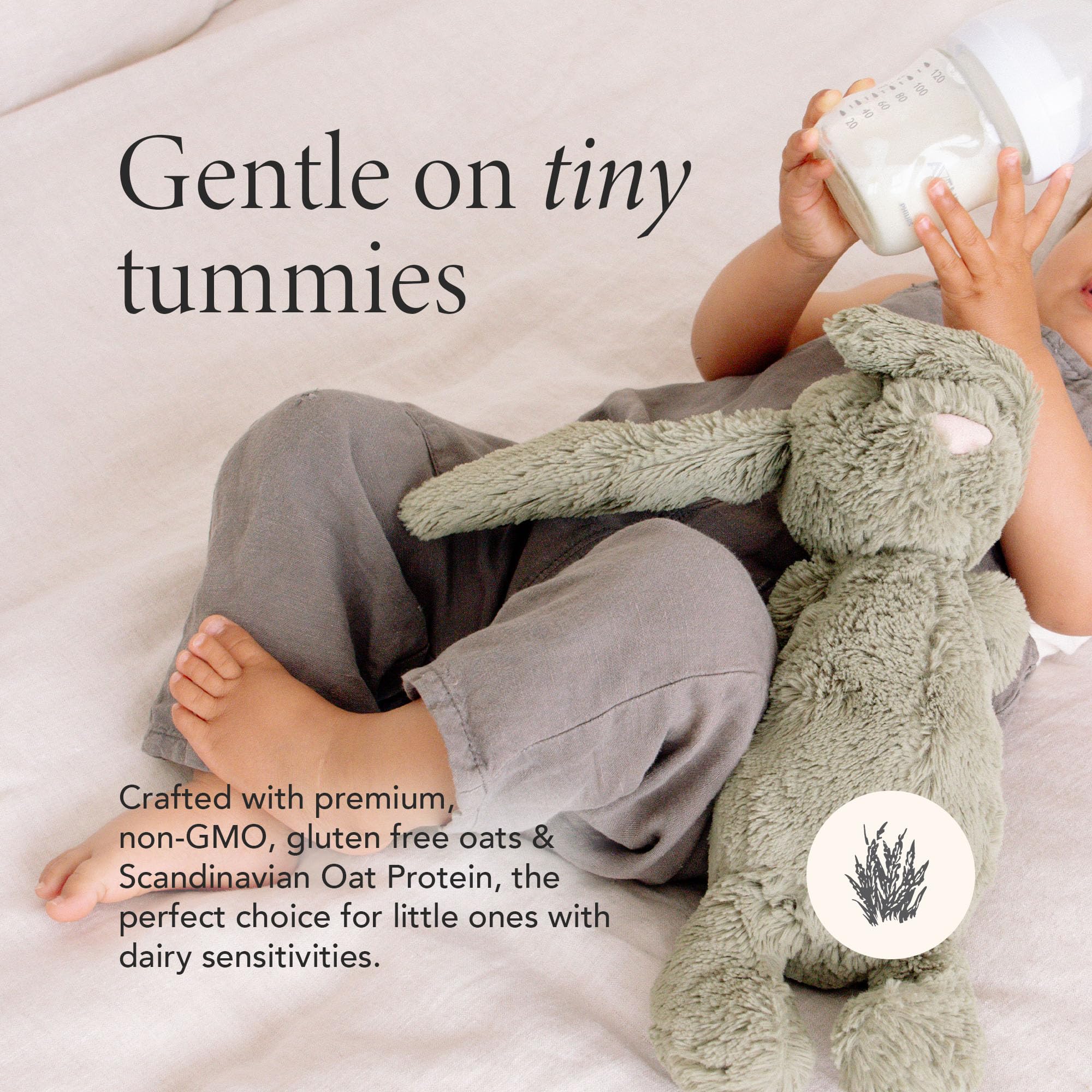 Haven Oat Toddler Formula DHA and lutein illustrated for daily nutrition