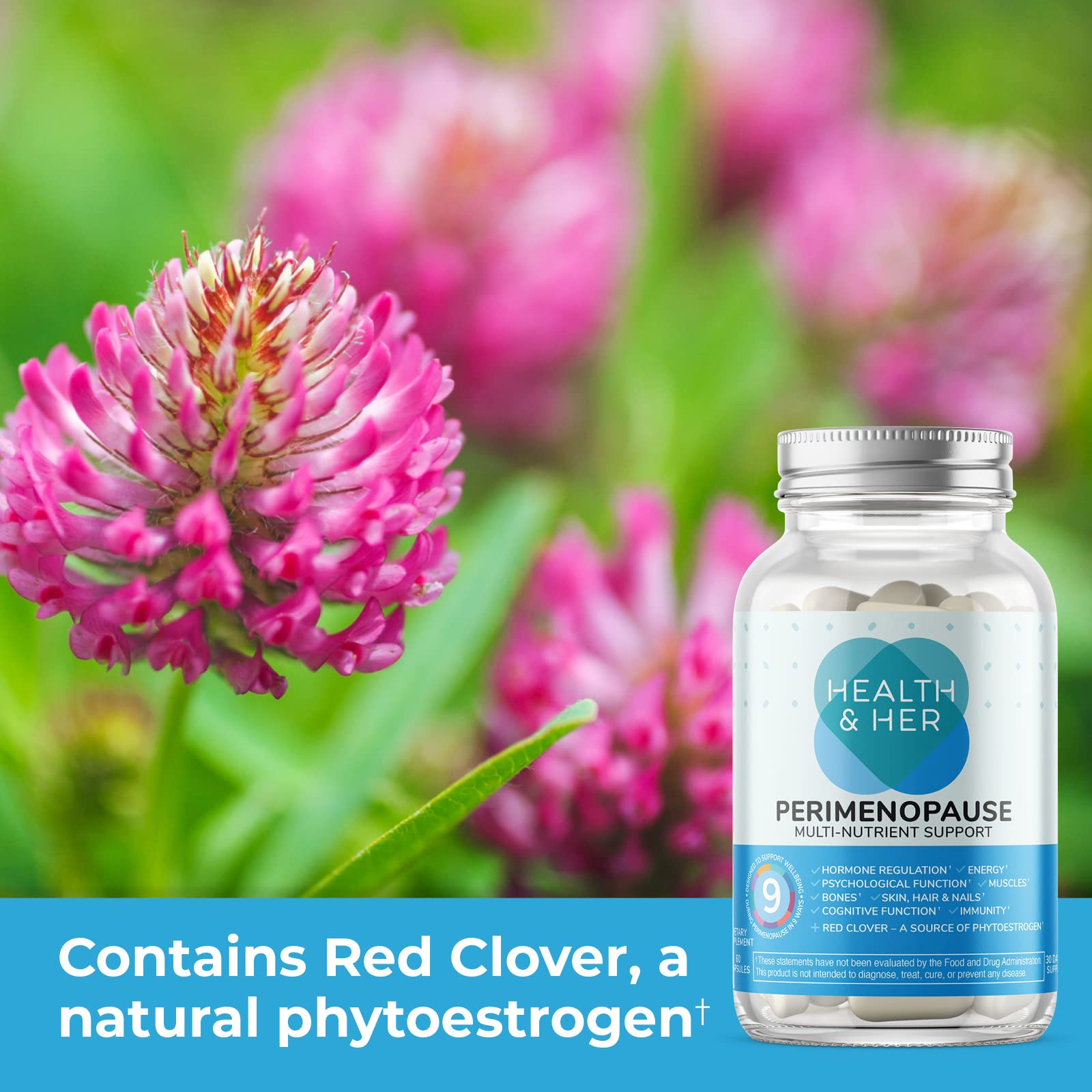 Health and Her perimenopause sage, ginseng, and ginkgo close-up for mental clarity.