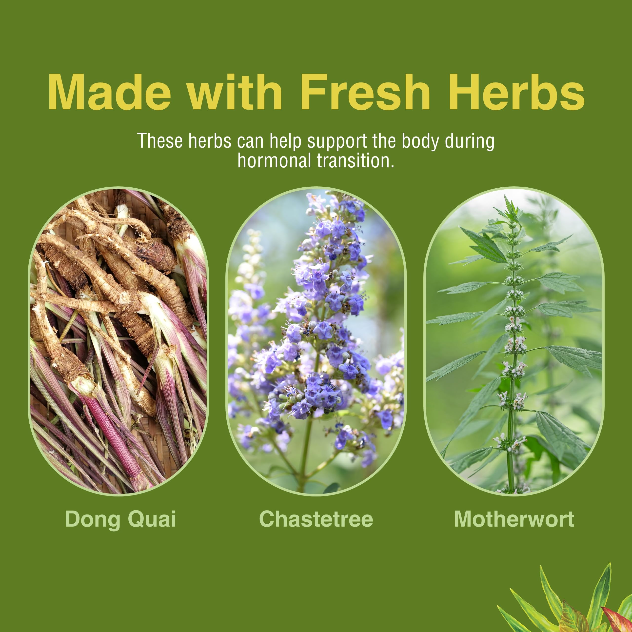 Herbs Etc. Menopautonic herbal blend close-up featuring dong quai and black cohosh