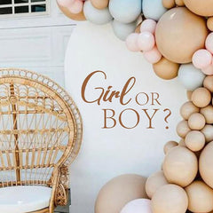 Hsybdnsk gender reveal backdrop decal on wall for indoor and outdoor celebrations
