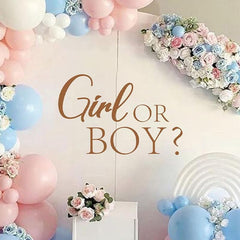 Hsybdnsk Girl or Boy wall decal backdrop for gender reveal photos