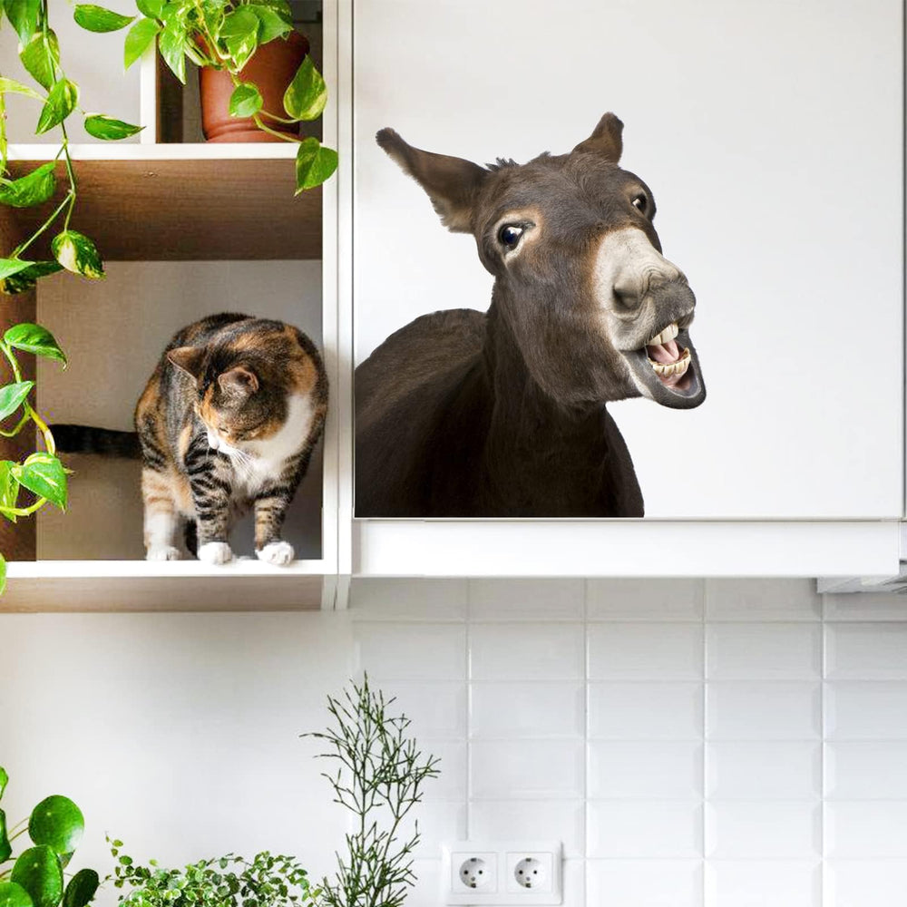 iinuu Laughing Donkey wall decal in a kid's room sparks creative decorating.