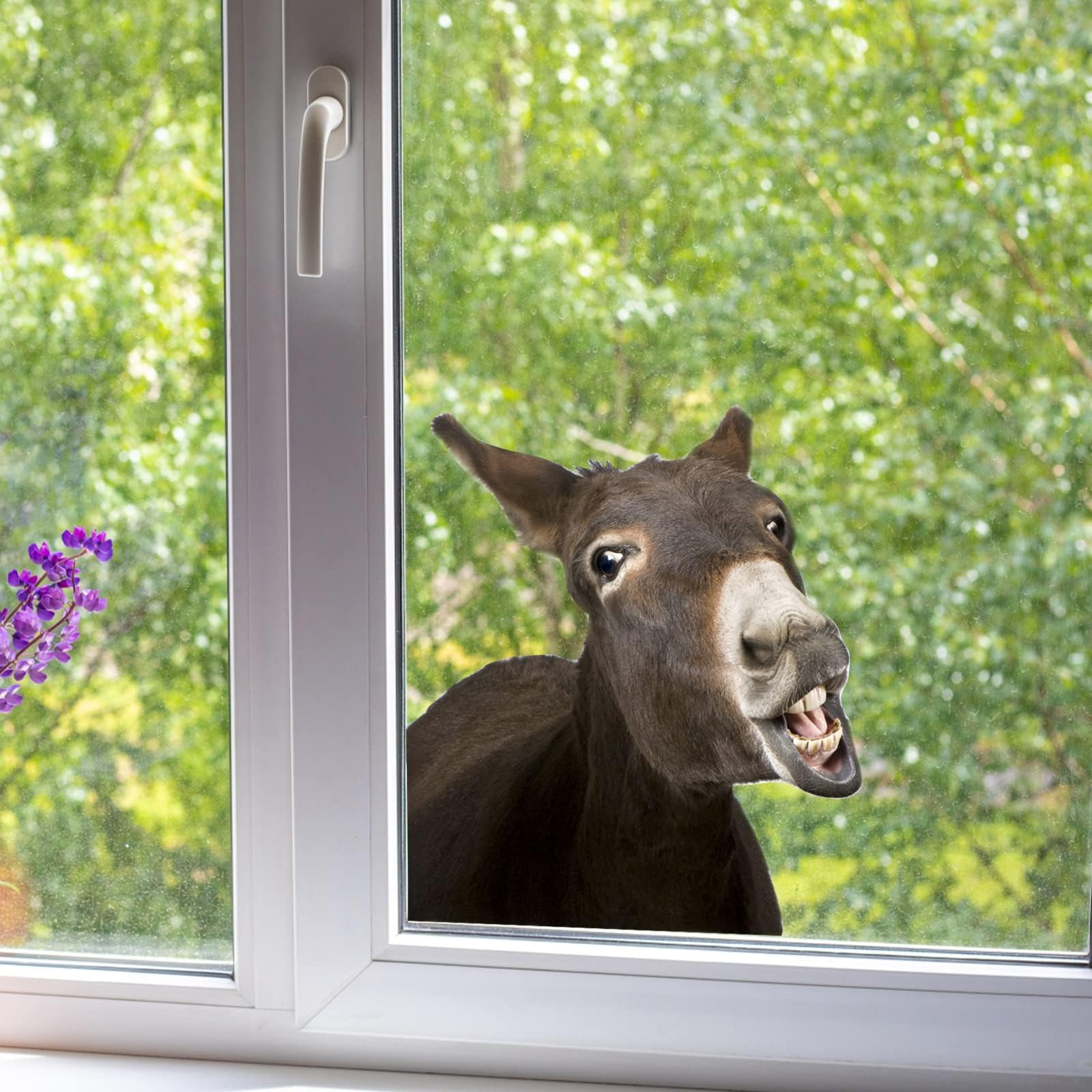 iinuu Laughing Donkey wall decal on a clean wall adds playful charm with eco-friendly materials.