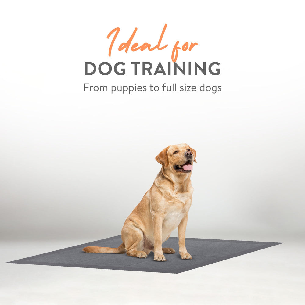 Inspire dog training pad 36x36 laid on the floor