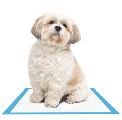 Inspire Chux Underpads with waterproof back layer prevents leaks.