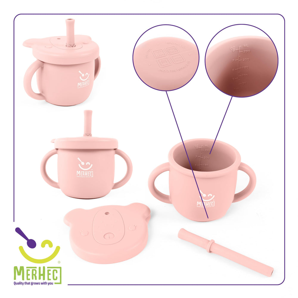 InspireJoy baby fruit feeder pacifier introduces flavors safely during teething.