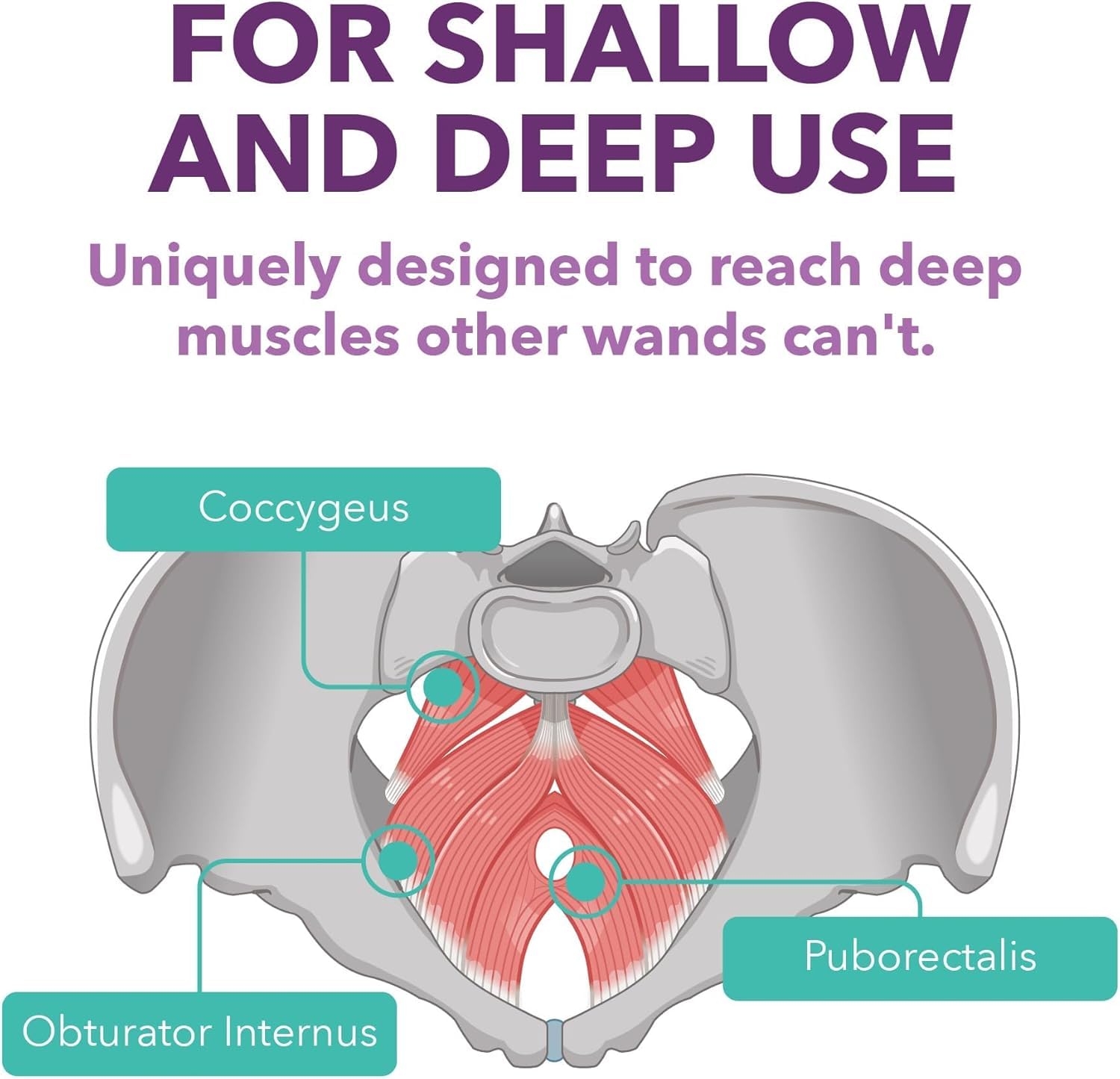 Intimate Rose doctor-designed pelvic wand for precise deep pelvic muscle work.
