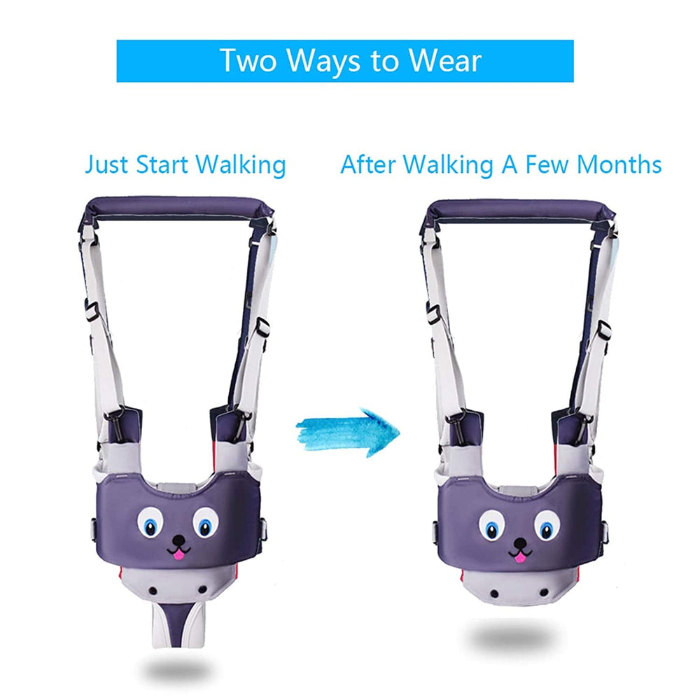 IULONEE Baby Walker Harness grey 4-in-1 mode illustrates growing toddler support.
