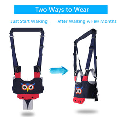 IULONEE Baby Walker in lifting mode supports safe standing for early exploration.