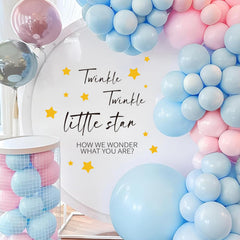 JarThenaAMCS gender reveal backdrop decal featuring star theme for festive photos.