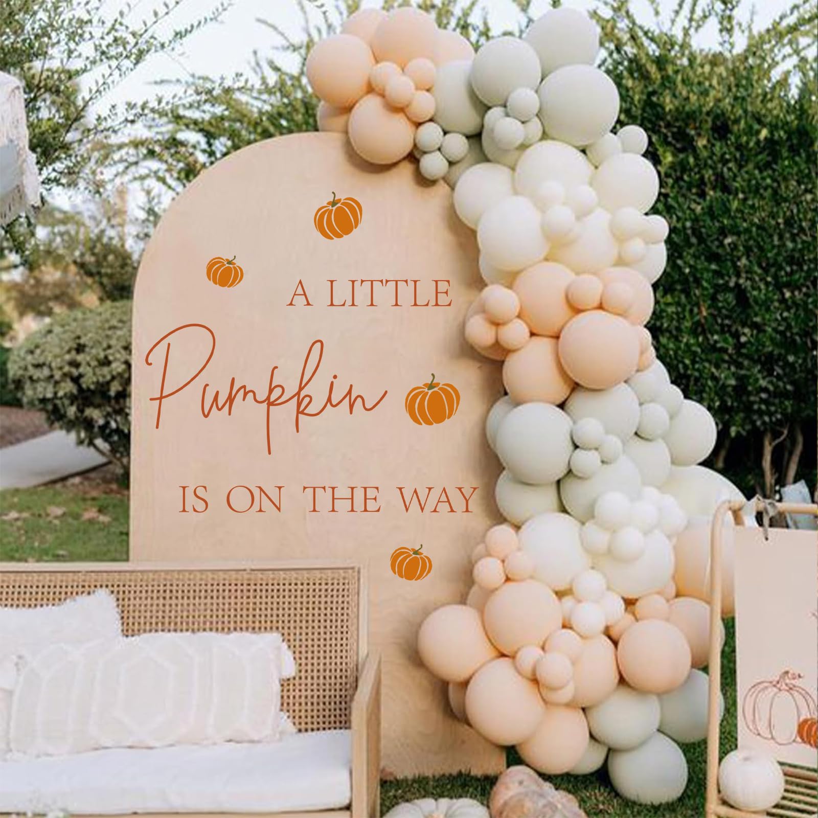 JarThenaAMCS versatile decor for gender reveal, baby shower, and photo backdrop.
