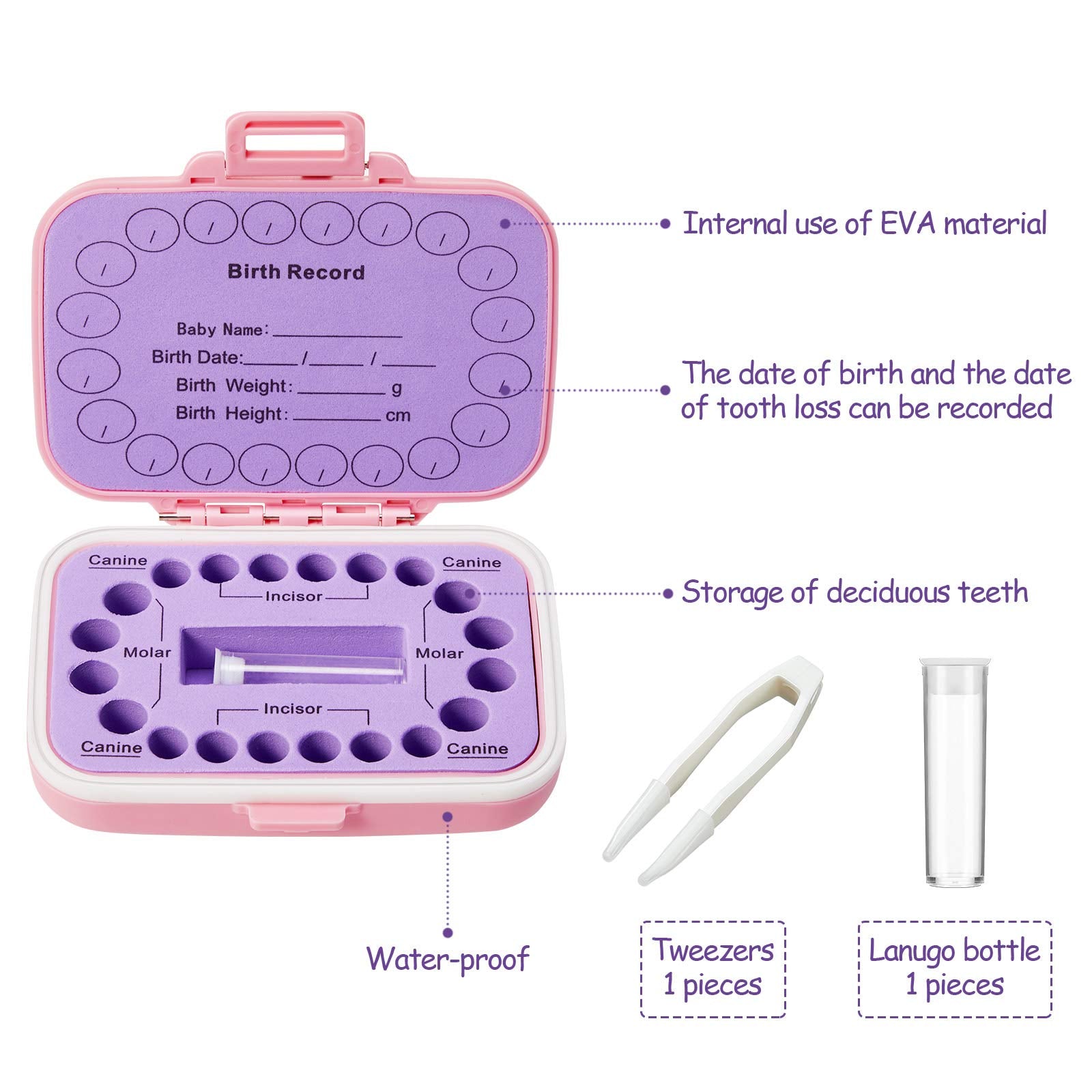 Jetec tweezer included for careful tooth handling.