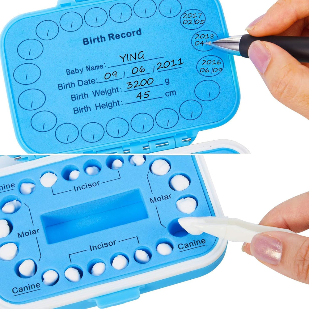 Jetec teeth saver box features 20 slots for organized storage of deciduous teeth.
