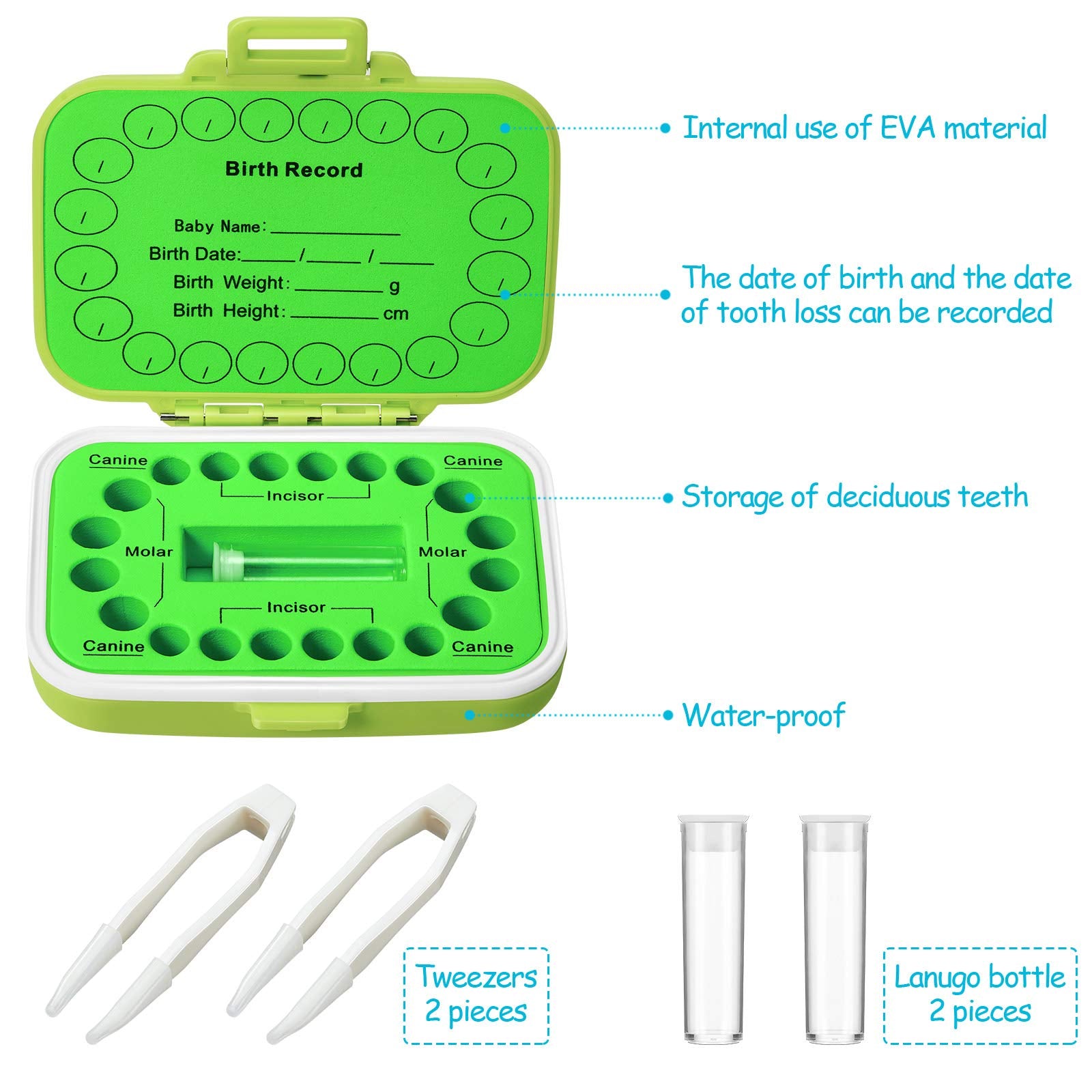 Jetec tooth fairy box interior view shows organized 20-slot storage